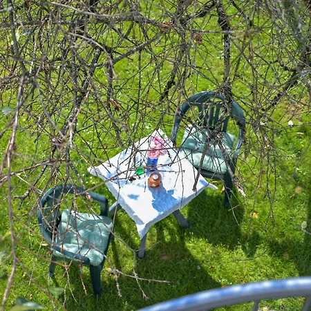 Yellow With Free Parking Daire