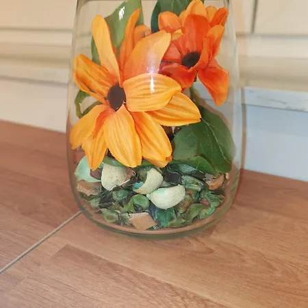 Yellow With Free Parking *